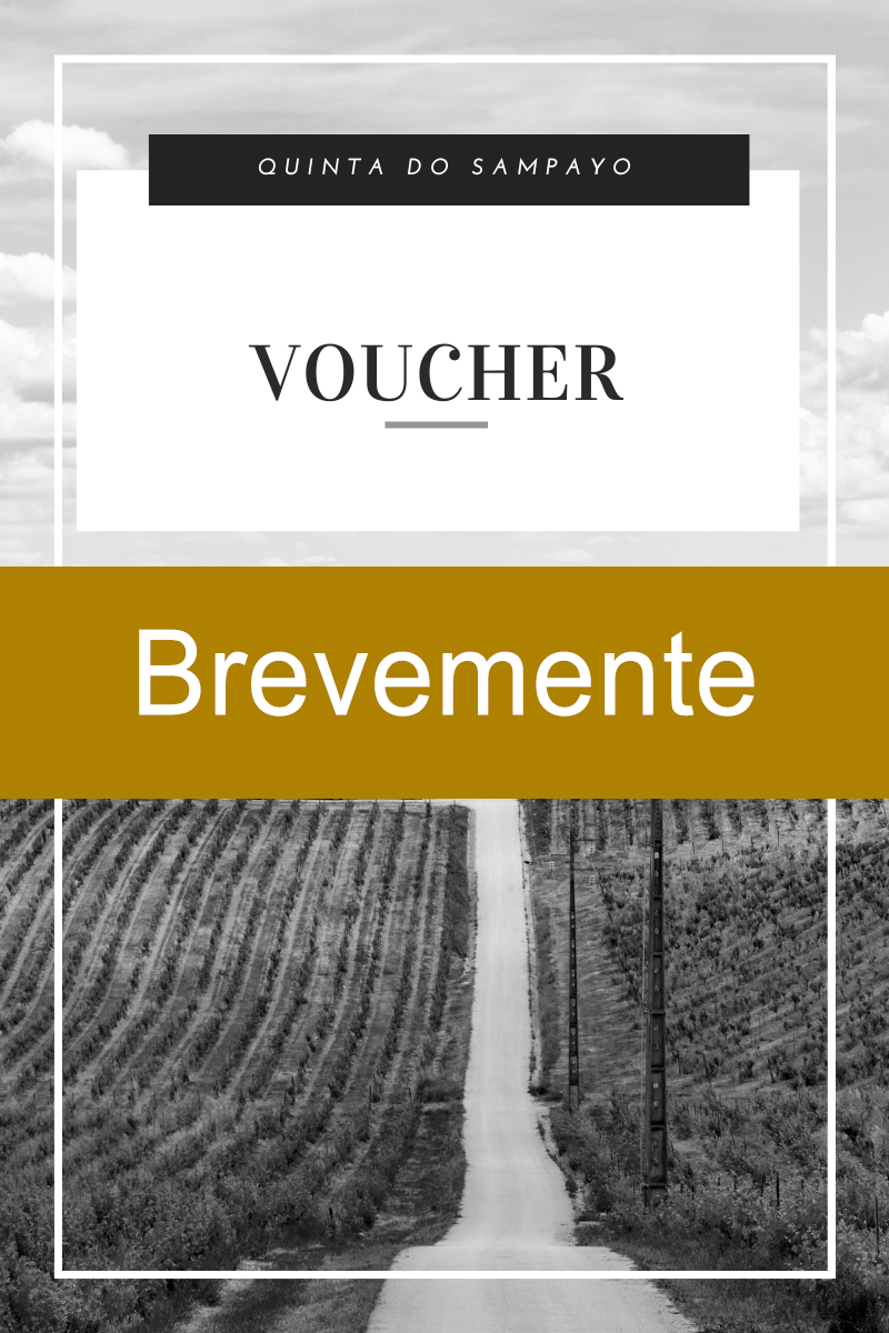 Vouchers