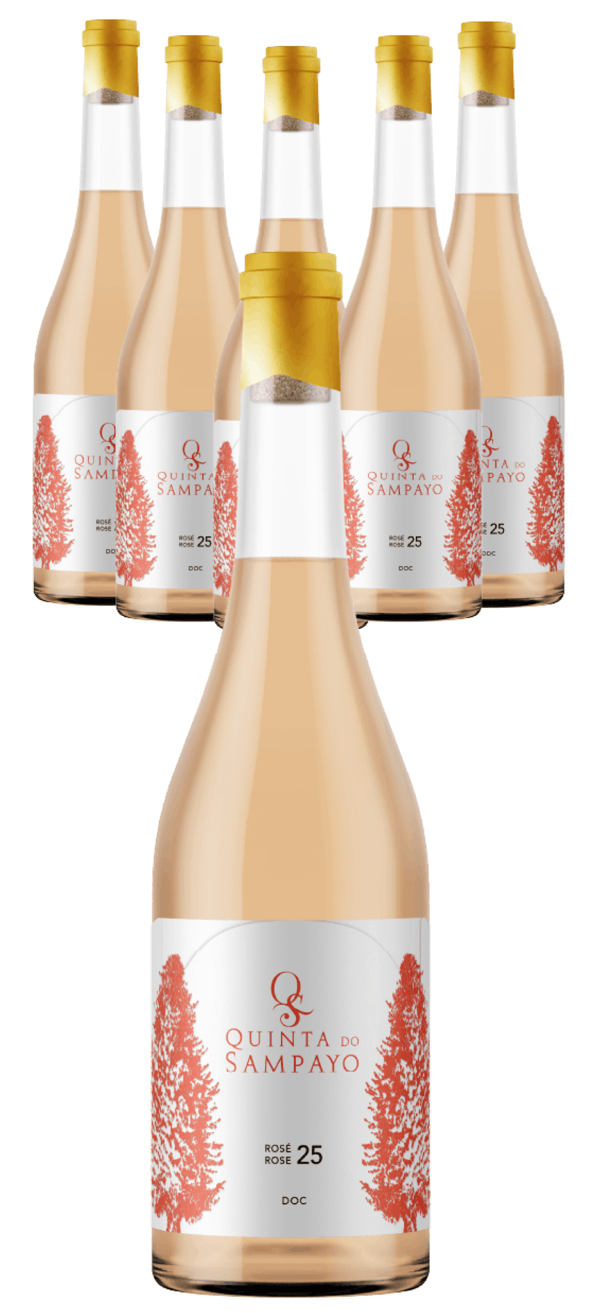 Caixa Quinta do Sampayo Colheita 2025 Rosé