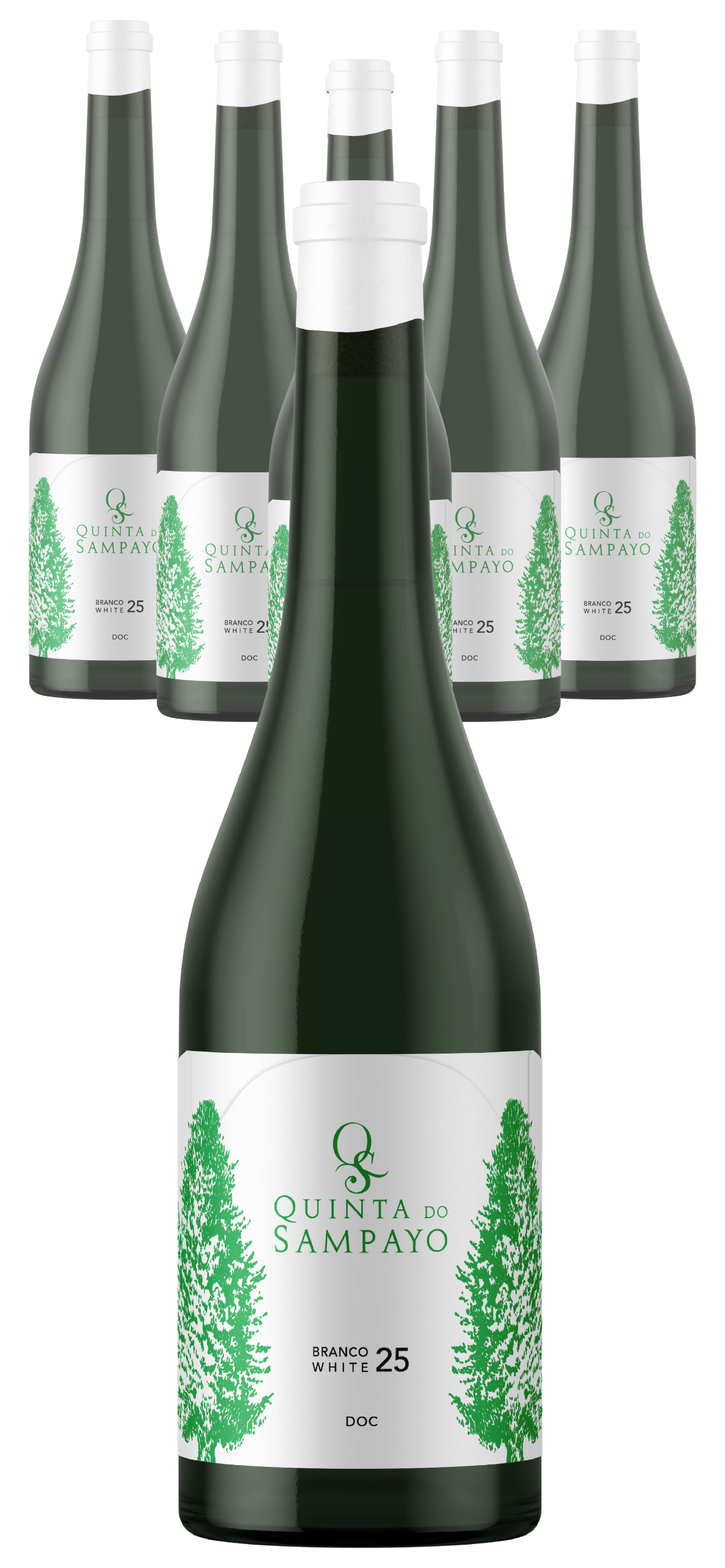 Caixa Quinta do Sampayo Branco 25 DOC